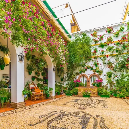 Bonito Atico En La Juderia De * Cordoba